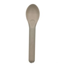 Biodegradable Dinnerware Set Sugarcane Bagasse spoon